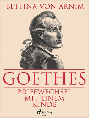 cover image of Goethes Briefwechsel mit einem Kinde